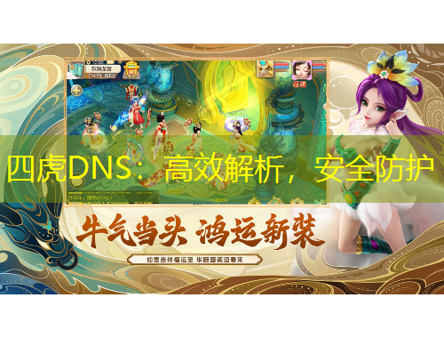 四虎DNS：高效解析，安全防護