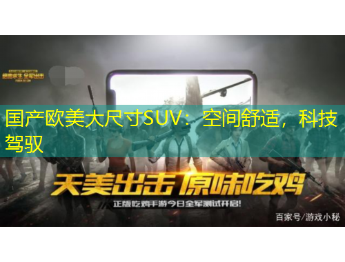 國產(chǎn)歐美大尺寸SUV：空間舒適，科技駕馭