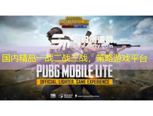 國內精品一戰(zhàn)二戰(zhàn)三戰(zhàn)，策略游戲平臺