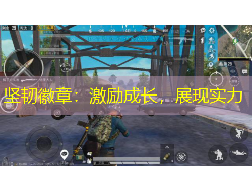 堅韌徽章：激勵成長，展現(xiàn)實力