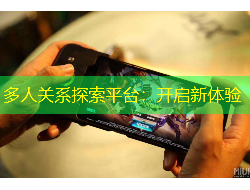 多人關系探索平臺：開啟新體驗