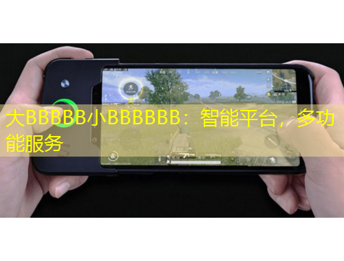 大BBBBB小BBBBBB：智能平臺，多功能服務