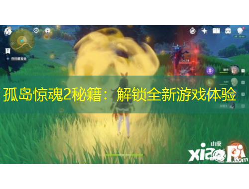 孤島驚魂2秘籍：解鎖全新游戲體驗(yàn)