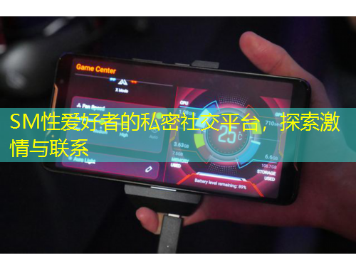 SM性愛好者的私密社交平臺，探索激情與聯(lián)系