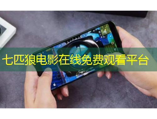 七匹狼電影在線免費(fèi)觀看平臺(tái)