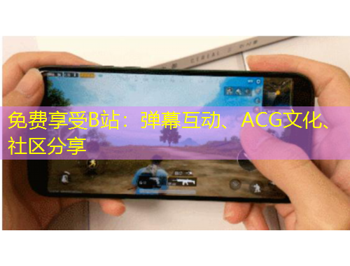 免費(fèi)享受B站：彈幕互動(dòng)、ACG文化、社區(qū)分享