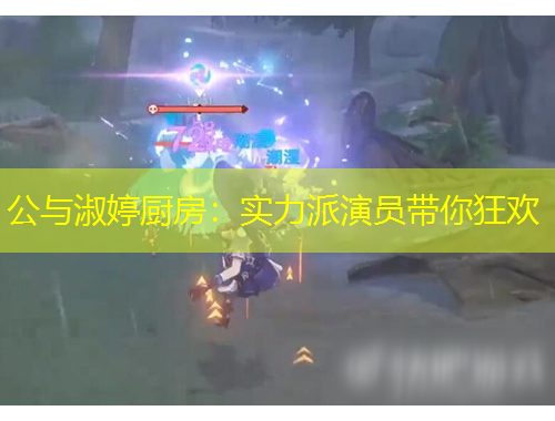 公與淑婷廚房：實(shí)力派演員帶你狂歡