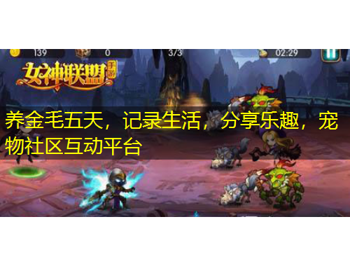 養(yǎng)金毛五天，記錄生活，分享樂趣，寵物社區(qū)互動平臺