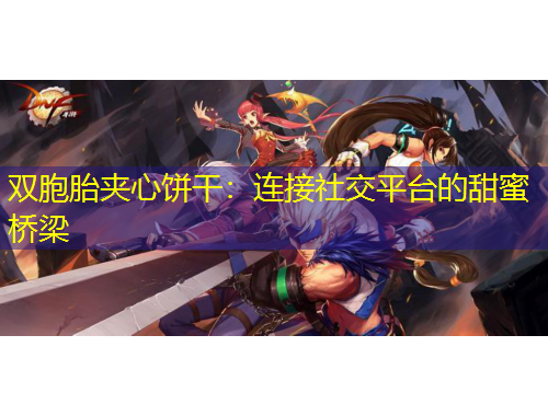 雙胞胎夾心餅干：連接社交平臺的甜蜜橋梁