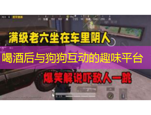 喝酒后與狗狗互動(dòng)的趣味平臺(tái)