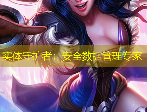 實體守護者：安全數(shù)據(jù)管理專家