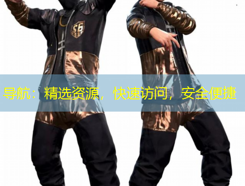 導(dǎo)航：精選資源，快速訪問，安全便捷