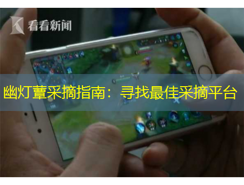 幽燈蕈采摘指南：尋找最佳采摘平臺