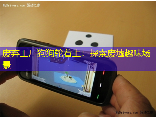 廢棄工廠狗狗輪著上：探索廢墟趣味場景