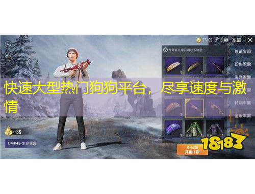 快速大型熱門狗狗平臺，盡享速度與激情