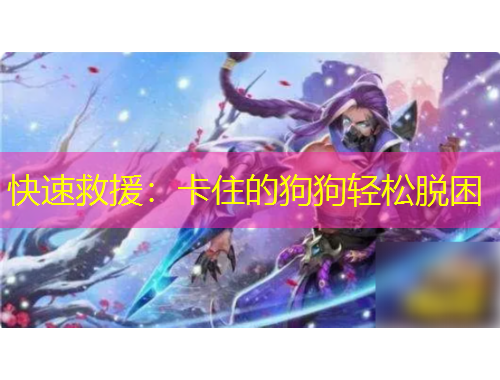 快速救援：卡住的狗狗輕松脫困