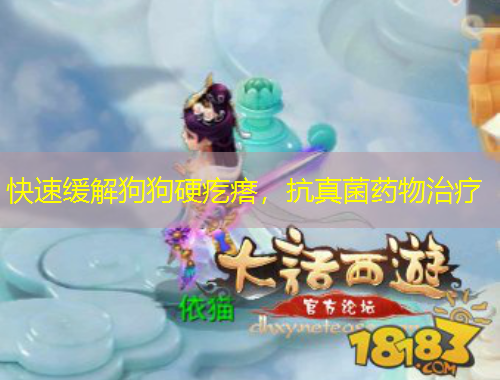 快速緩解狗狗硬疙瘩，抗真菌藥物治療