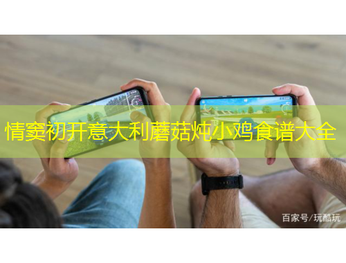 情竇初開意大利蘑菇燉小雞食譜大全