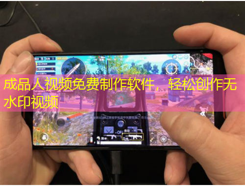 成品人視頻免費(fèi)制作軟件，輕松創(chuàng)作無(wú)水印視頻