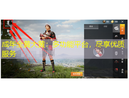 成年全黃大黃：多功能平臺(tái)，盡享優(yōu)質(zhì)服務(wù)