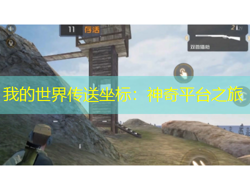 我的世界傳送坐標(biāo)：神奇平臺之旅