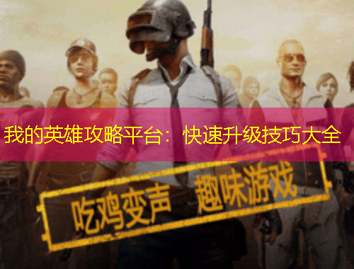 我的英雄攻略平臺(tái)：快速升級(jí)技巧大全