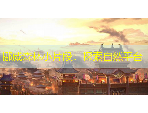 挪威森林小片段：探索自然平臺(tái)