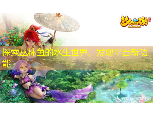 探索叢林魚的水生世界，發(fā)現(xiàn)平臺(tái)新功能