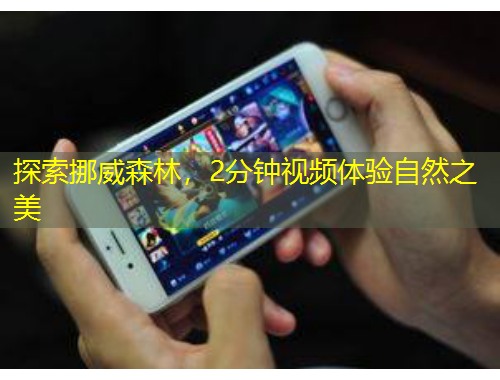 探索挪威森林，2分鐘視頻體驗(yàn)自然之美