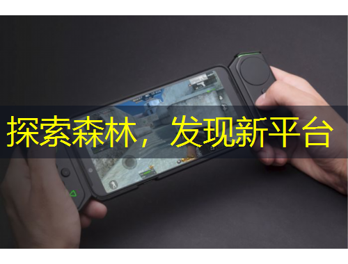 探索森林，發(fā)現(xiàn)新平臺