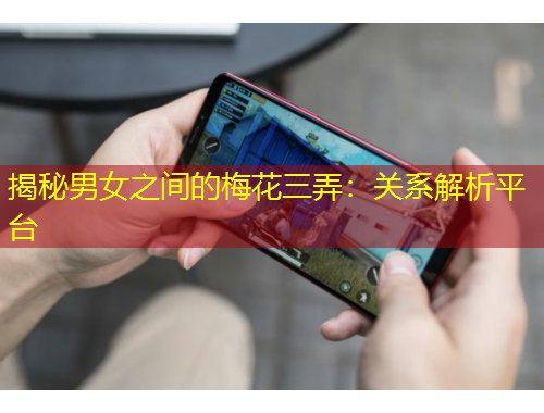揭秘男女之間的梅花三弄：關(guān)系解析平臺
