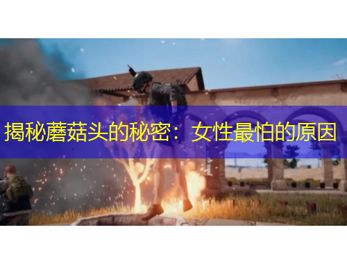 揭秘蘑菇頭的秘密：女性最怕的原因