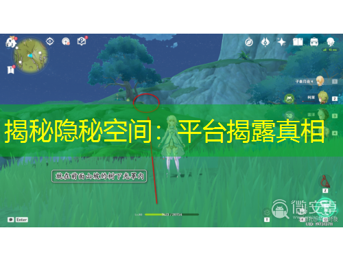 揭秘隱秘空間：平臺(tái)揭露真相