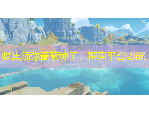 收集須彌薔薇種子，探索平臺功能