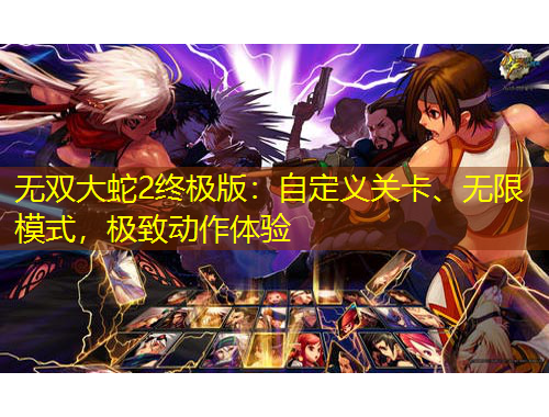 無雙大蛇2終極版：自定義關(guān)卡、無限模式，極致動(dòng)作體驗(yàn)