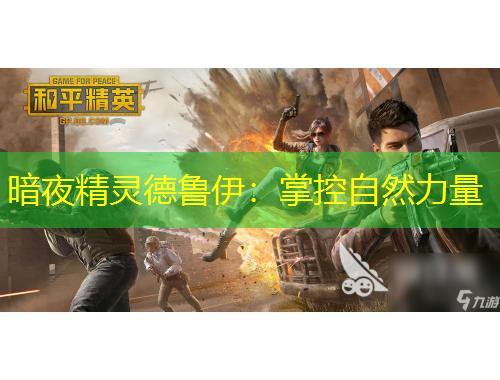 暗夜精靈德魯伊：掌控自然力量