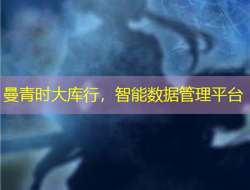 曼青時(shí)大庫行，智能數(shù)據(jù)管理平臺