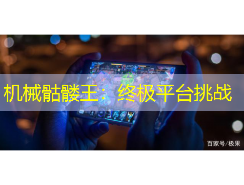 機械骷髏王：終極平臺挑戰(zhàn)