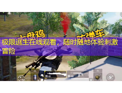 極限逃生在線觀看，隨時隨地體驗刺激冒險