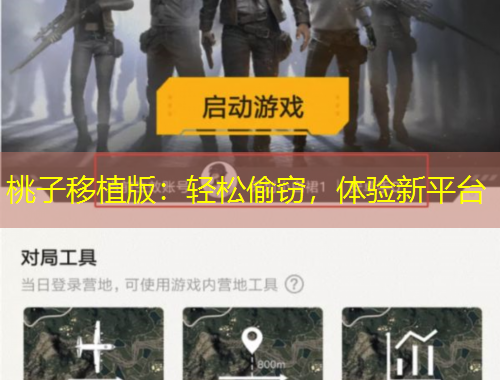 桃子移植版：輕松偷竊，體驗(yàn)新平臺(tái)