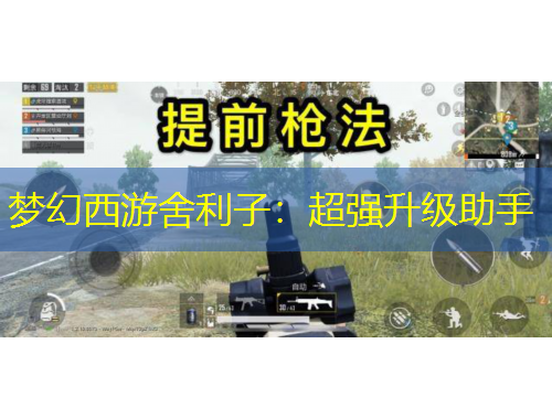 夢(mèng)幻西游舍利子：超強(qiáng)升級(jí)助手