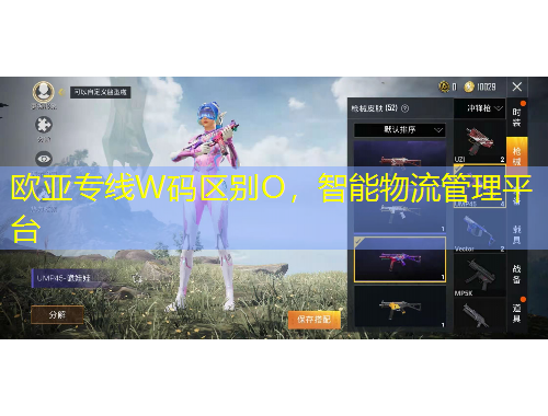 歐亞專線W碼區(qū)別O，智能物流管理平臺