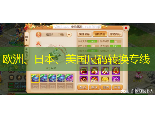 歐洲、日本、美國(guó)尺碼轉(zhuǎn)換專線