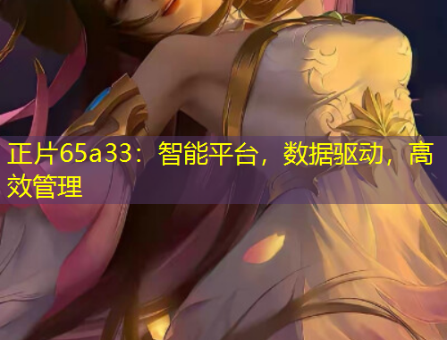 正片65a33：智能平臺(tái)，數(shù)據(jù)驅(qū)動(dòng)，高效管理