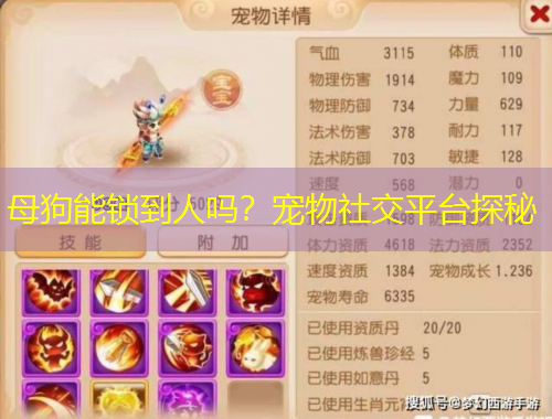 母狗能鎖到人嗎？寵物社交平臺探秘