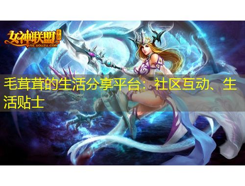 毛茸茸的生活分享平臺：社區(qū)互動、生活貼士