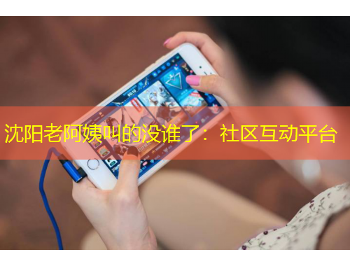 沈陽(yáng)老阿姨叫的沒(méi)誰(shuí)了：社區(qū)互動(dòng)平臺(tái)