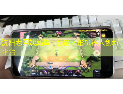 沈陽(yáng)老阿姨巔峰：智能人形機(jī)器人創(chuàng)新平臺(tái)