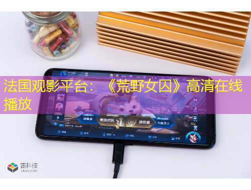 法國觀影平臺(tái)：《荒野女囚》高清在線播放