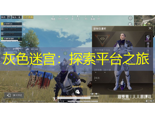 灰色迷宮：探索平臺之旅